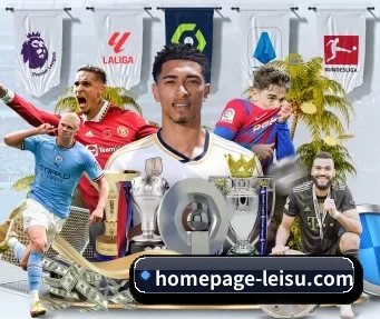 homepage-leisu.com APP